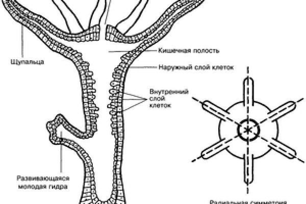 Мега маркетплейс мориарти ссылка