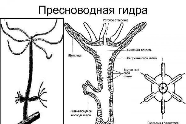 Мега ссылка зеркало рабочая